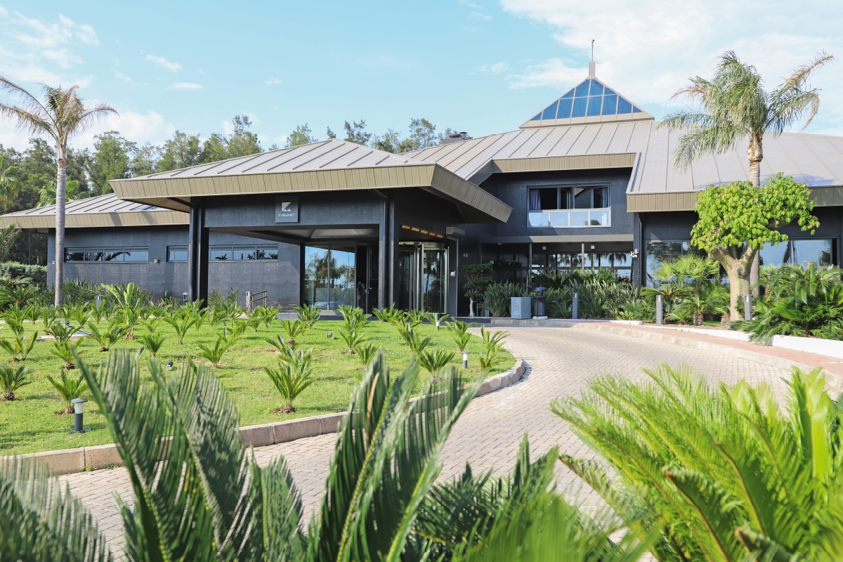 Restoranda Kıyılan Korsan Nikahlar